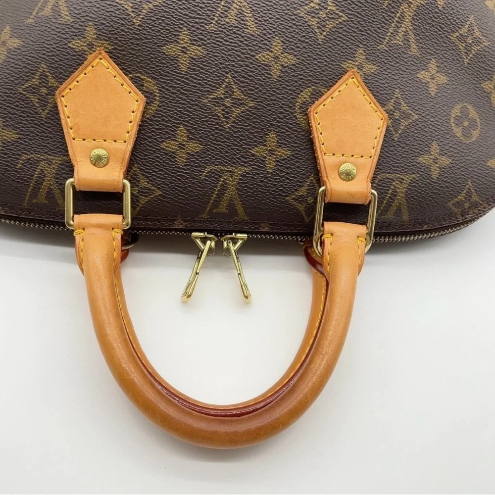 Louis Vuitton brand louis